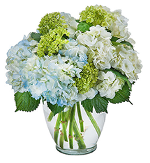 Image of Flowers